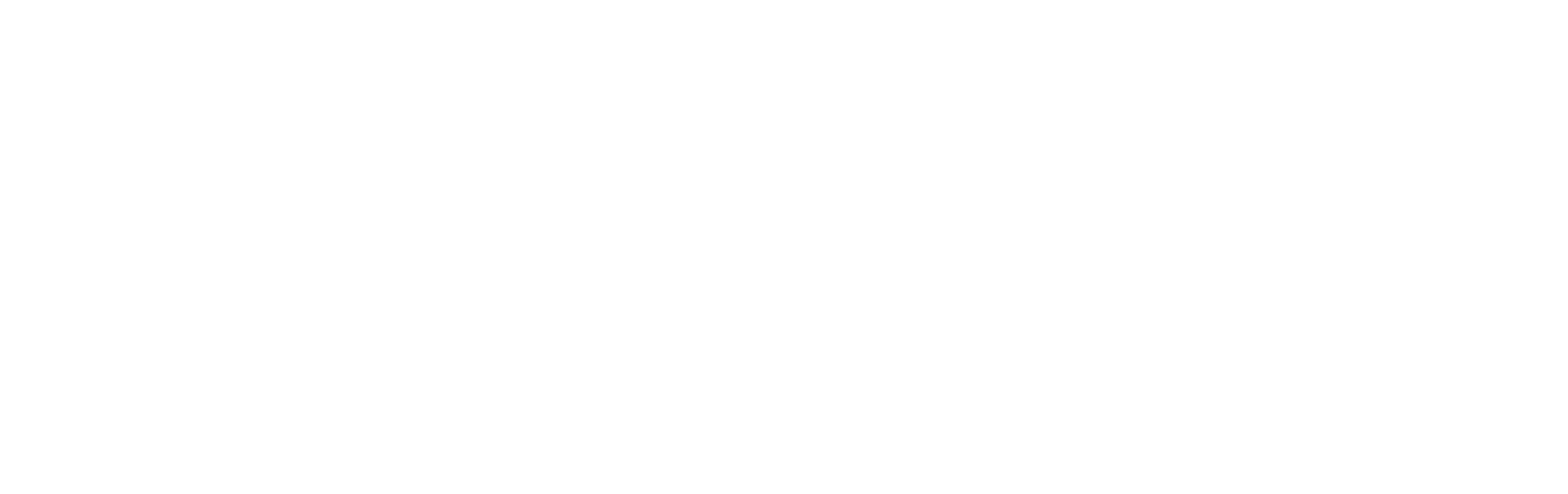 Copy of logo zeroport copy@3x (2)